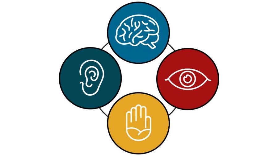 Icons of a brain, an ear, an eye and a hand in a circle