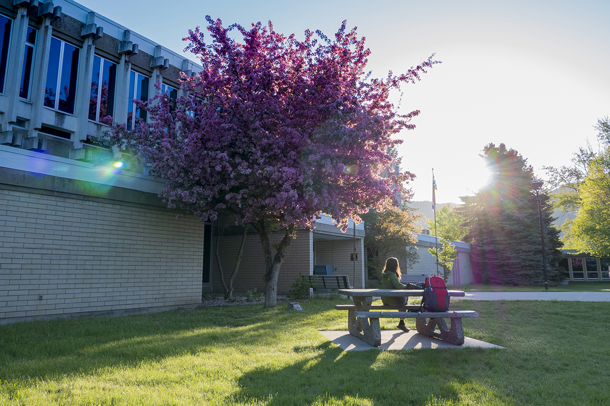 Castlegar Campus Sunrise