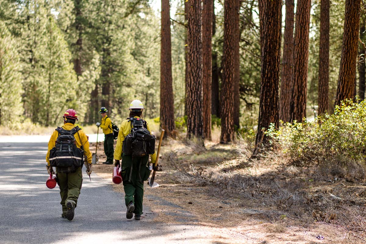 Firefighters walk through a forest