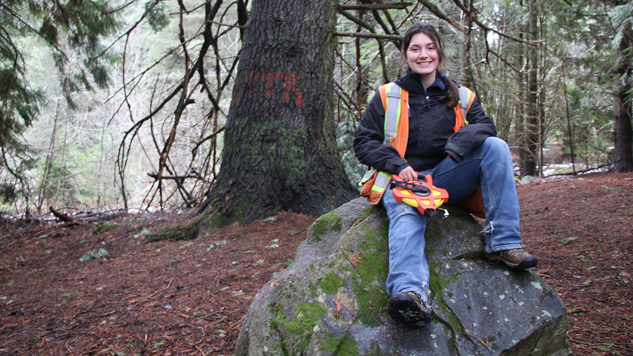 Grandalf the Fir and Forest Technology Three