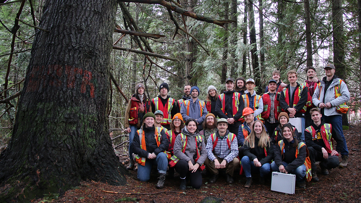 Grandalf the Fir and Forest Technology Two