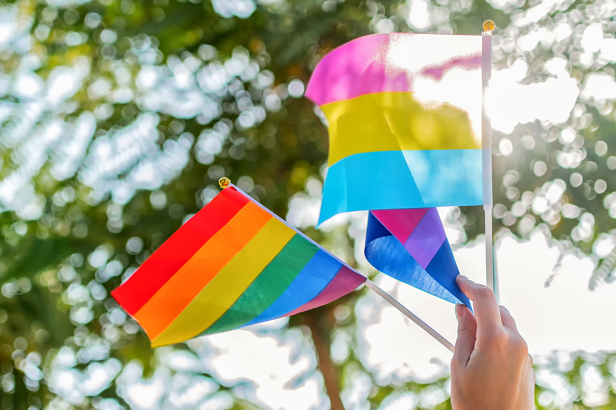 Gender Diversity Flags