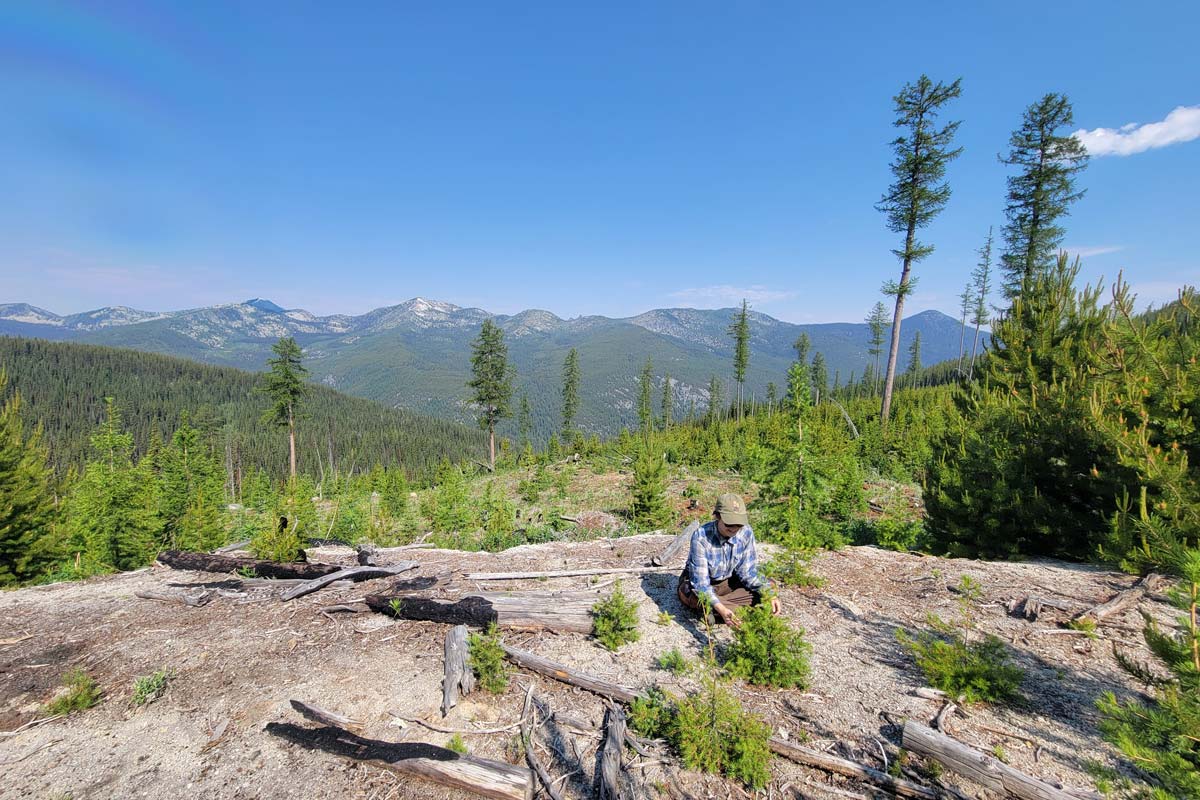 A student intern works outside