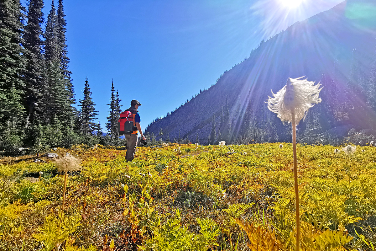 Hiking the Kokanee Glacier trail