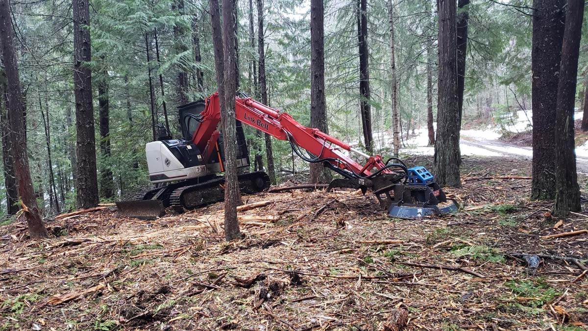 A machine in the forest