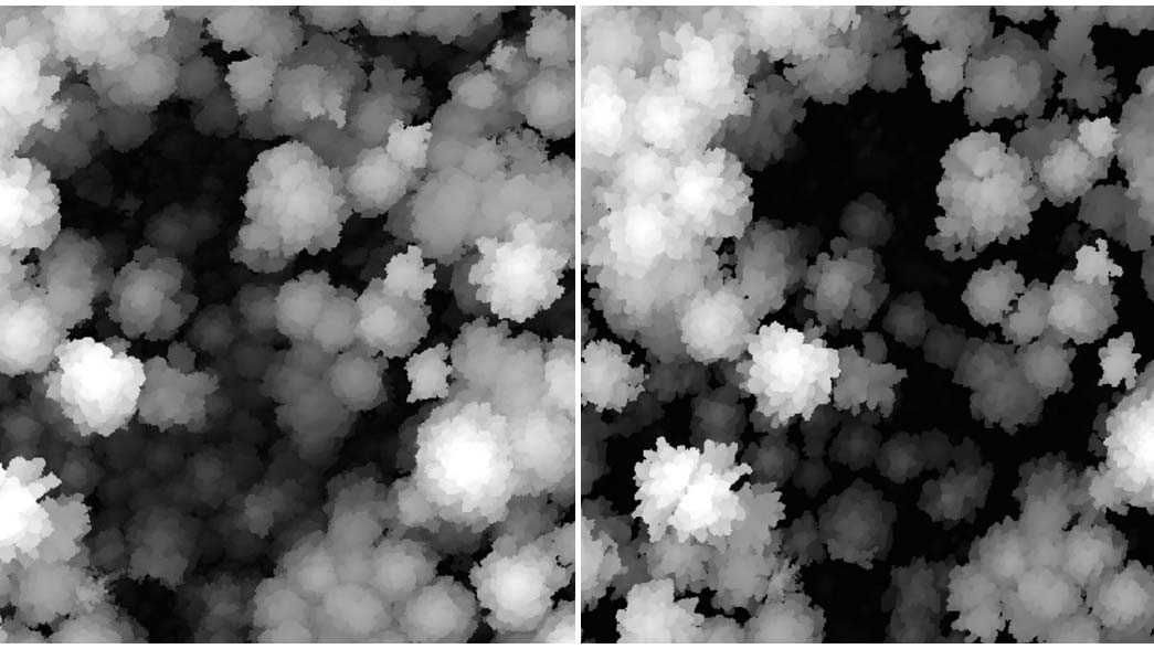 A drone-based LiDAR-derived canopy height model