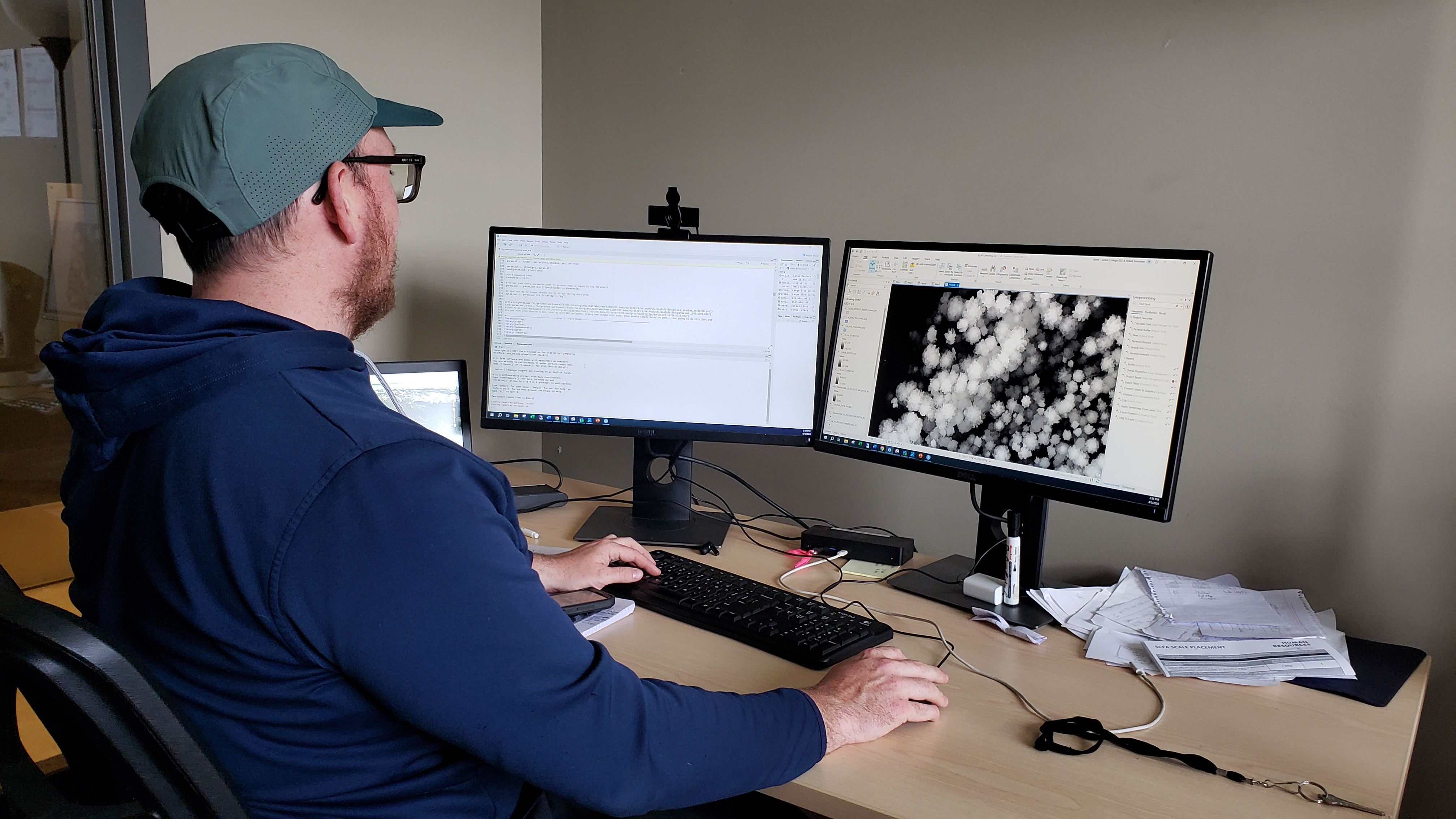 A person sits at a desk working on forestry data