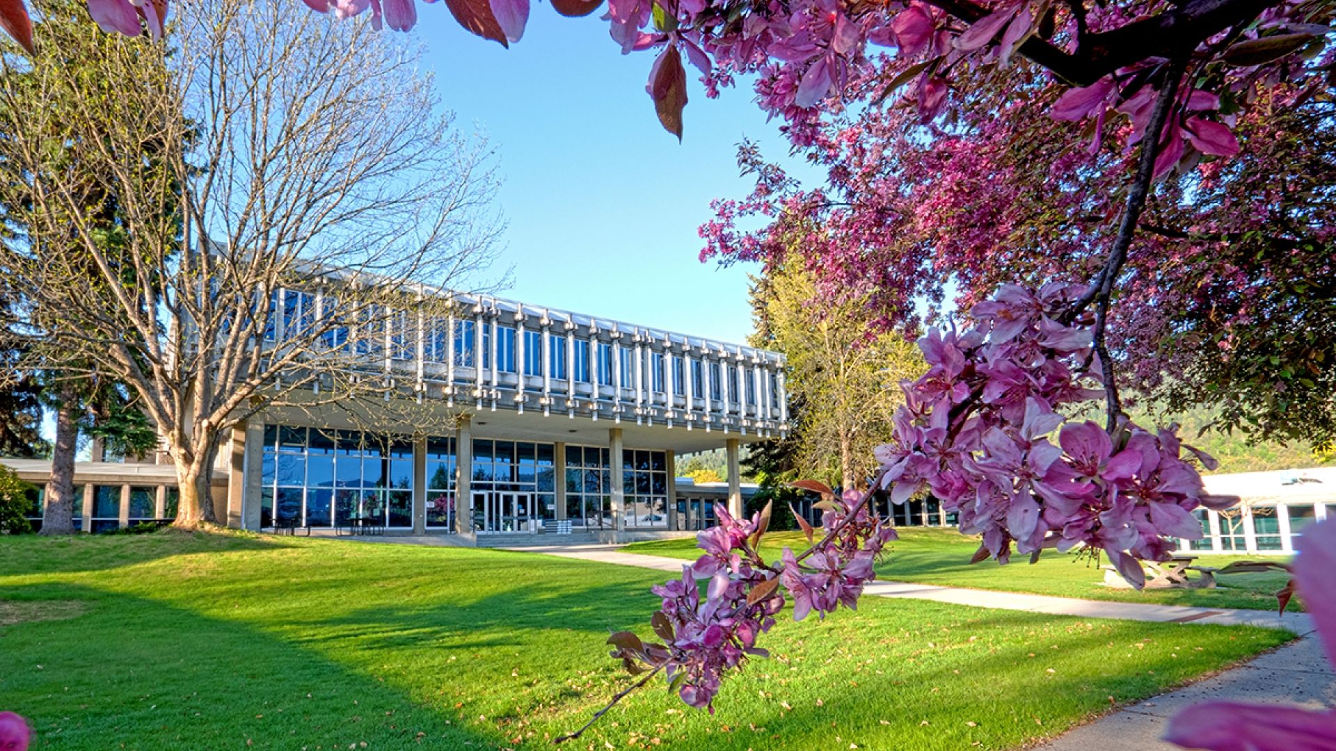 Castlegar Campus with cherry blossoms
