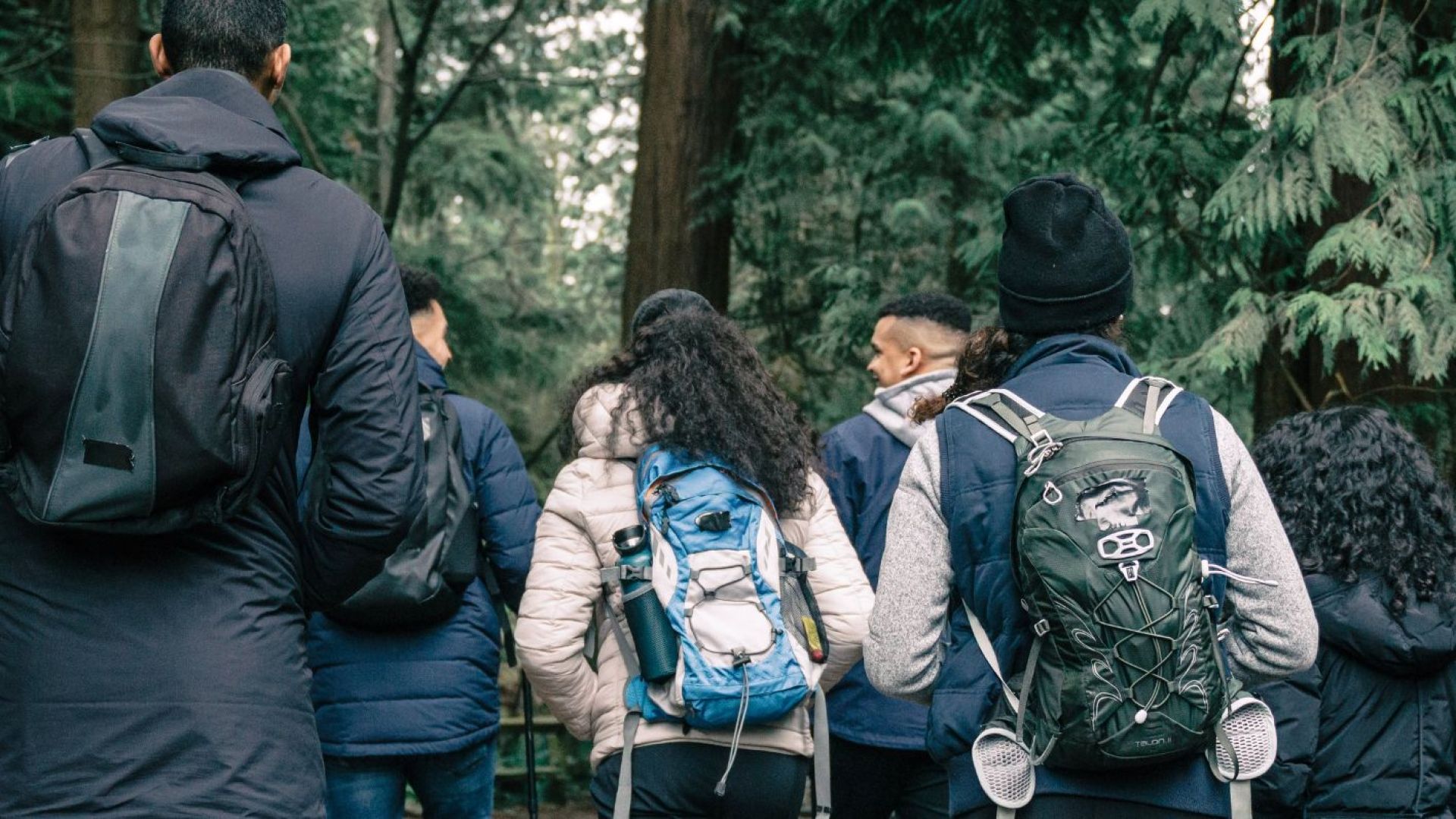 students walking along a trail in the woods