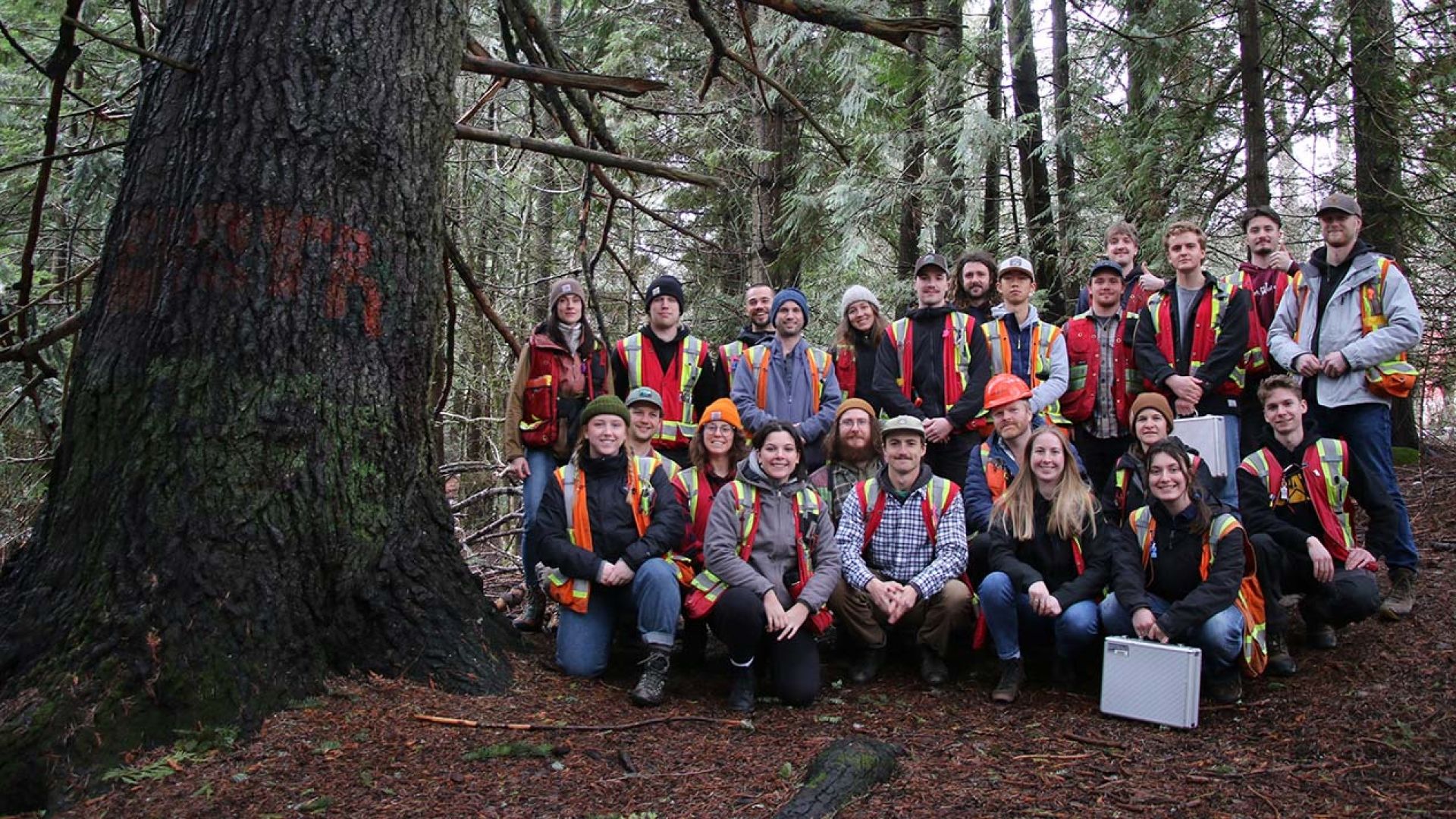 Forestry students at grand fir