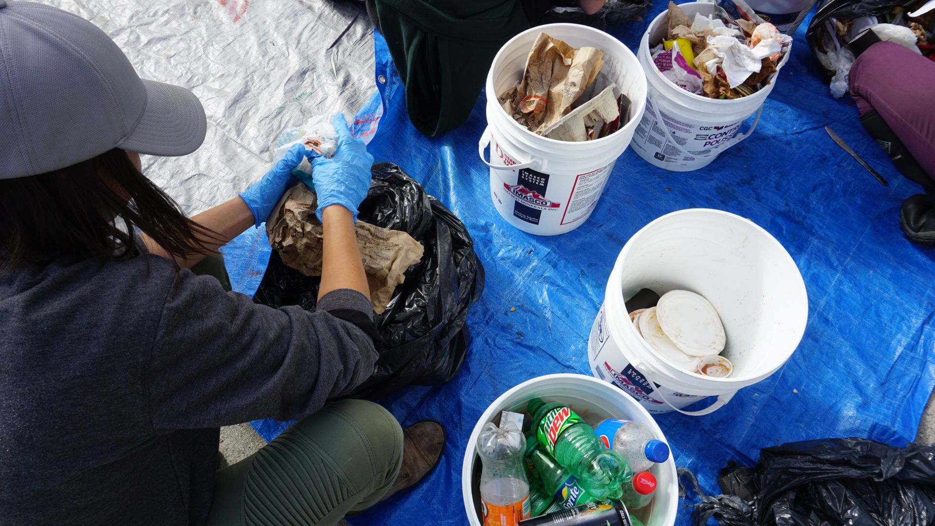 Someone sorts compost and recyclables