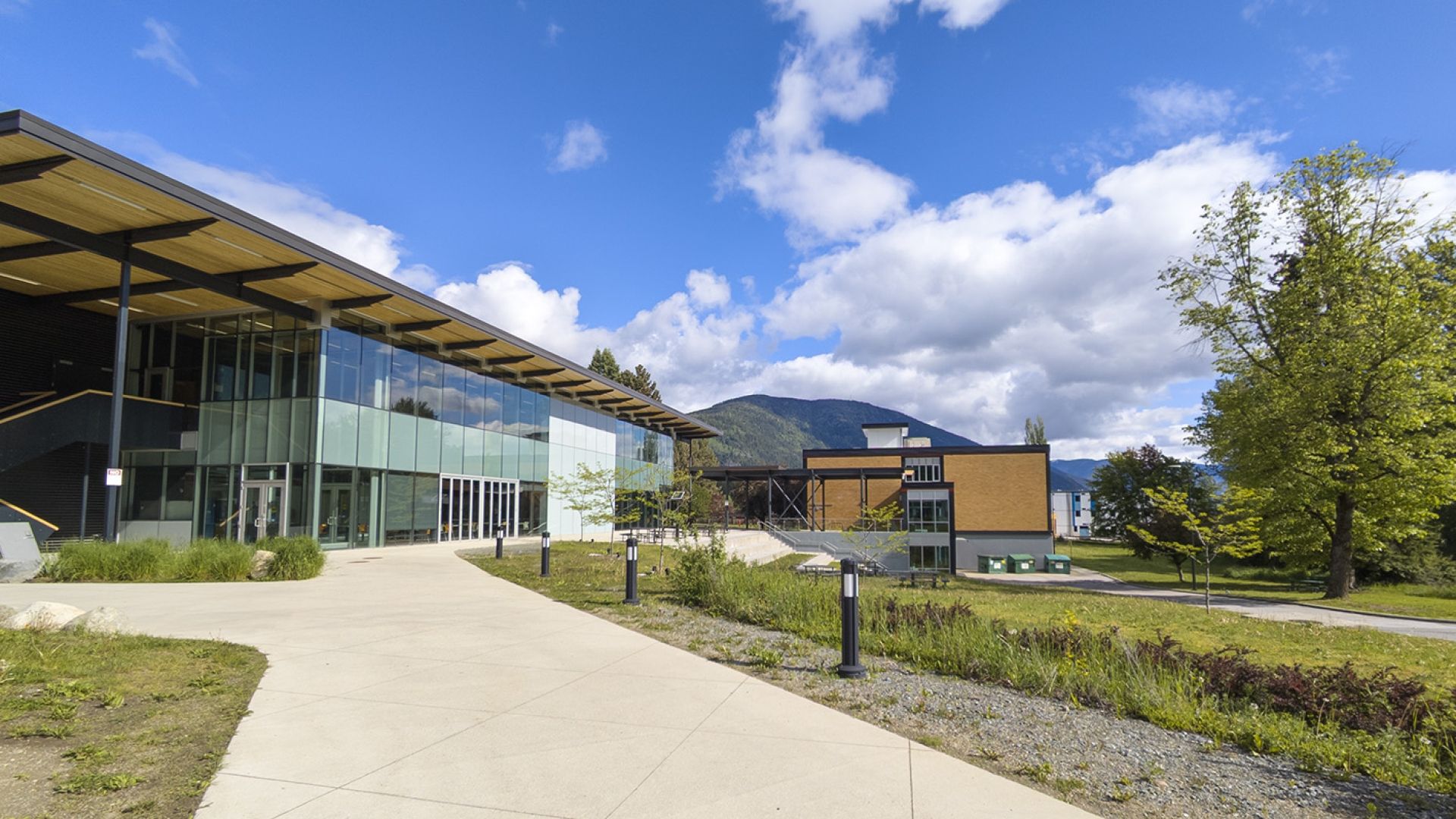 a view of Silver King Campus during the summer