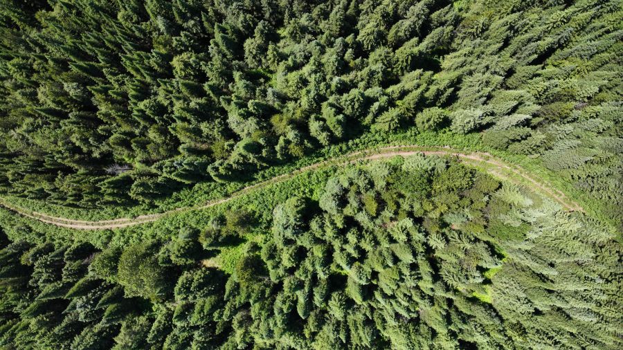 Darkwoods Forest photographed using remotely-piloted aircraft systems
