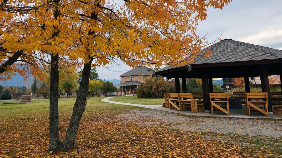 The Mir Centre for Peace and the Indigenous Arbour in autumn