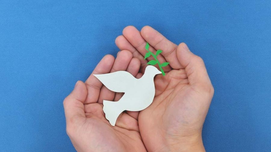 Two hands holding a paper dove against a blue background