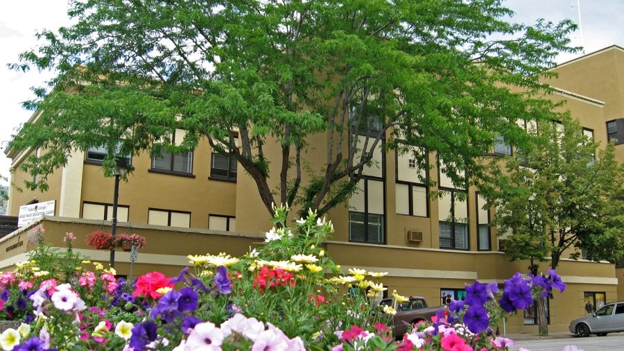 View of Trail Campus through flowers