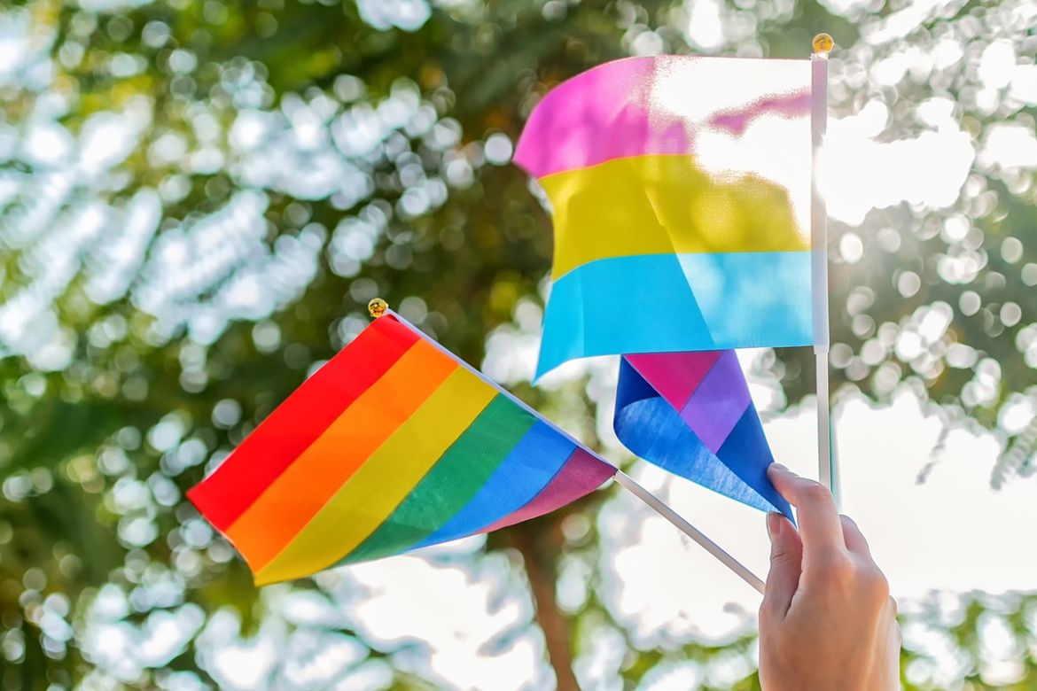 Gender Diversity Flags