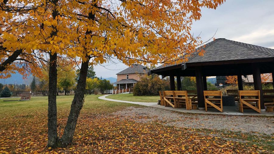 The Mir Centre for Peace and the Indigenous Arbour in autumn