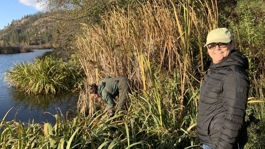 LaRae Wiley stands on the water's edge surrounded by long grasses