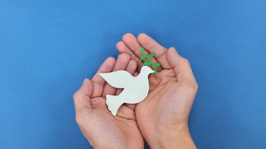 Two hands holding a paper dove against a blue background