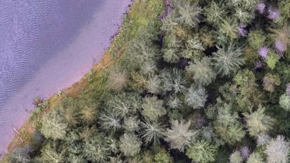 An orthophoto of the Skattebo Education Forest