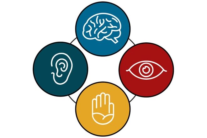 Icons of a brain, an ear, an eye and a hand in a circle