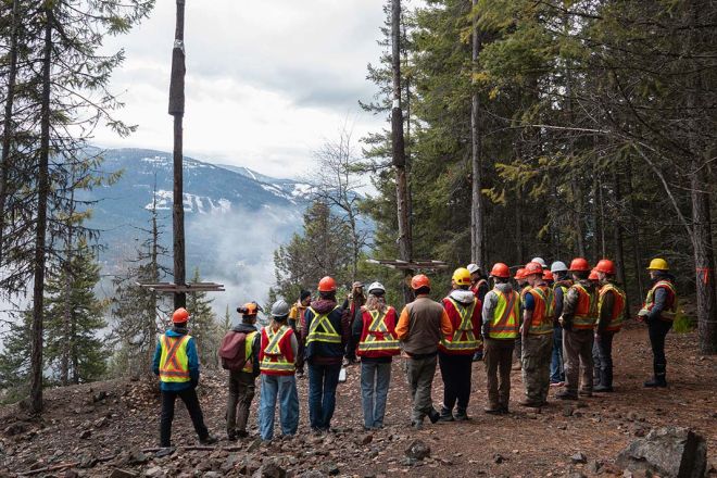 Students wearing orange vests stand in a forest looking at bat roosts.
