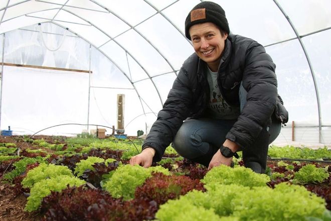 Working the lettuce patch at Clutch Farm